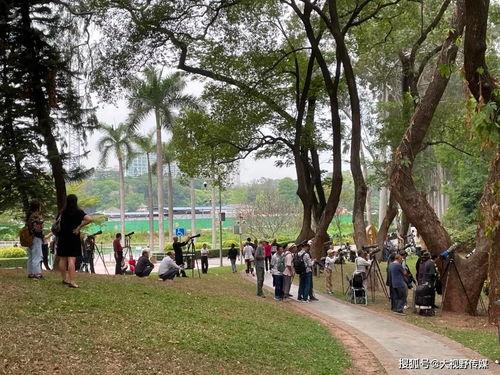 广州网红公园变声音,探寻城市绿洲的音韵新篇