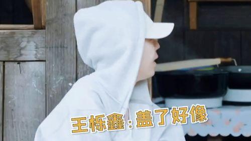 张远爆料王乐鑫视频播放,真相与争议