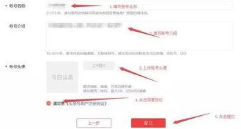 新手可以注册几个头条号,揭秘如何注册多个头条号