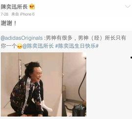 放飞自我头条小说,追寻自由的奇幻旅程