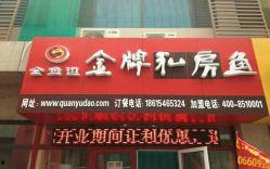 齐河大王店新闻头条文章,揭秘大王店发展新篇章，助力乡村振兴